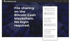 BitcoInfiles.com开发人员发动检查反抗文件存储系统